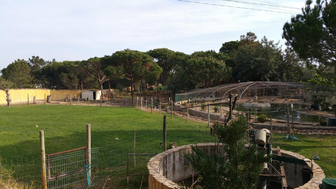 Quinta Vita - Vila Pera Almancil Esterno foto