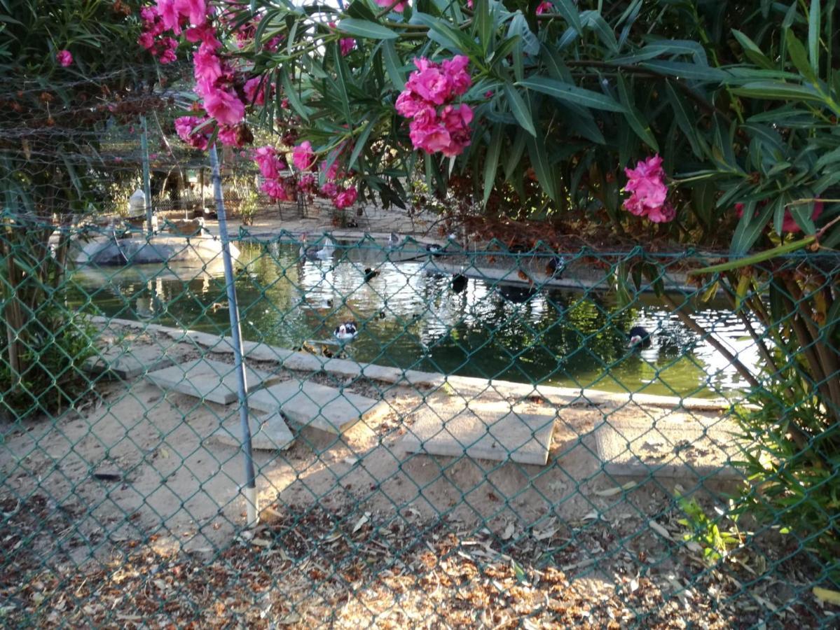 Quinta Vita - Vila Pera Almancil Esterno foto