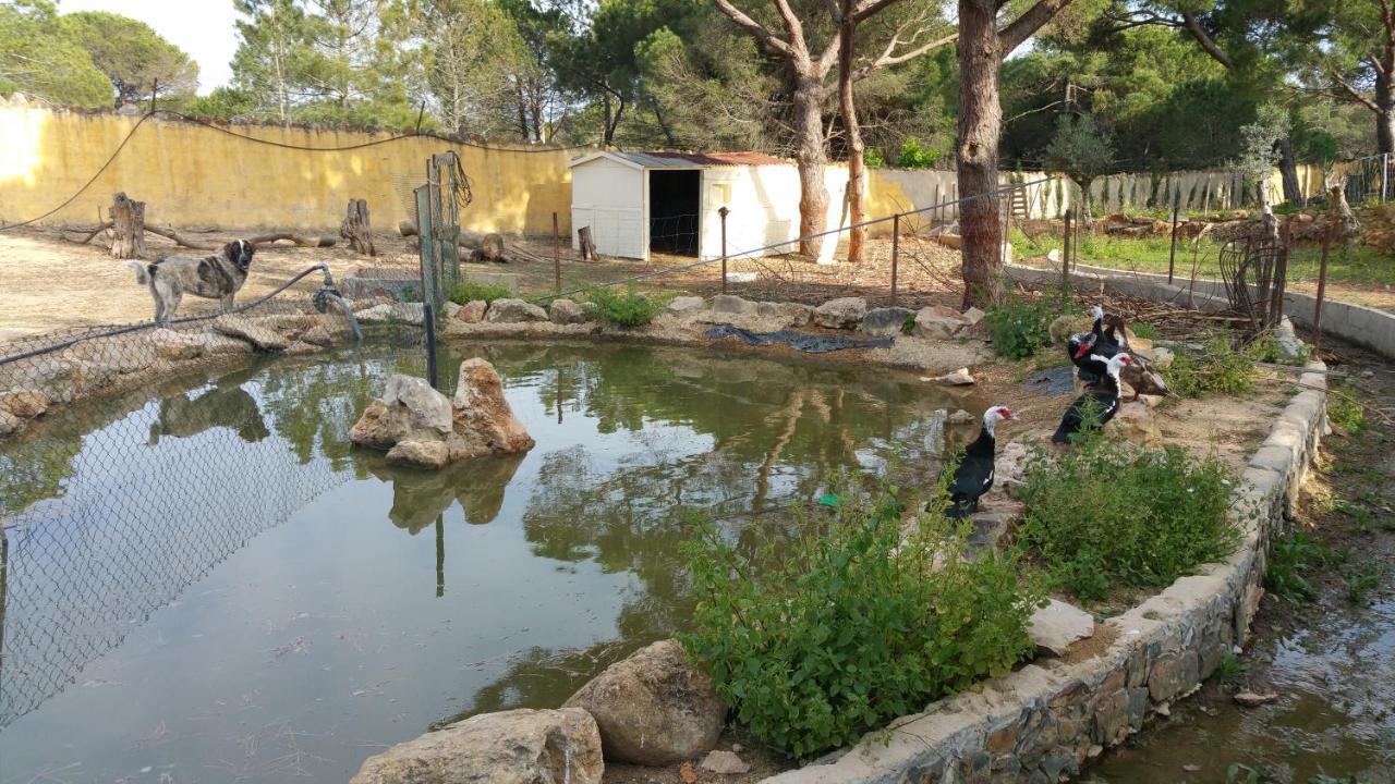 Quinta Vita - Vila Pera Almancil Esterno foto